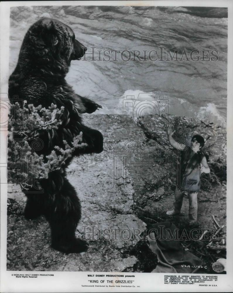 1970 Press Photo Walt Disney Productions presents King Of The Grizzlies - Historic Images