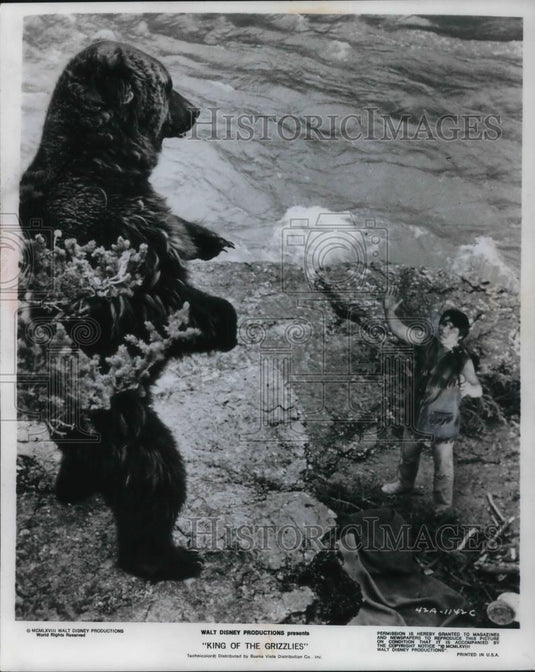 1970 Press Photo Walt Disney Productions presents King Of The Grizzlies - Historic Images