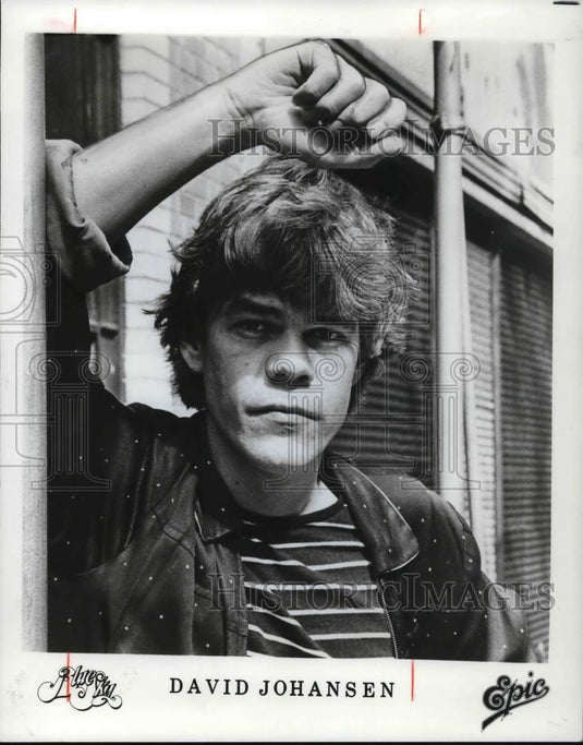 1981 Press Photo Songwriter David Johansen - cvp25742 - Historic Images