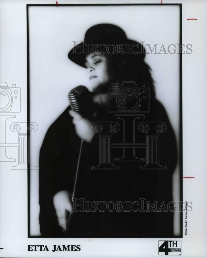 1993 Press Photo Etta James Singer - cvp24795 - Historic Images