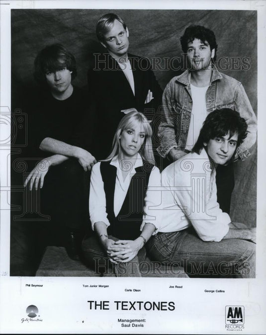 1985 Press Photo The Textones - cvp27485 - Historic Images
