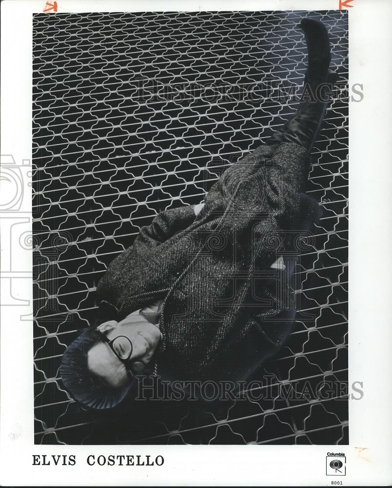 1981 Press Photo Elvis Costello in the picture - cvp26220 - Historic Images