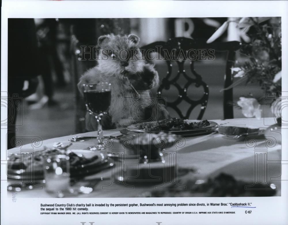 1989 Press Photo Movie Caddyshack II - cvp28222 - Historic Images