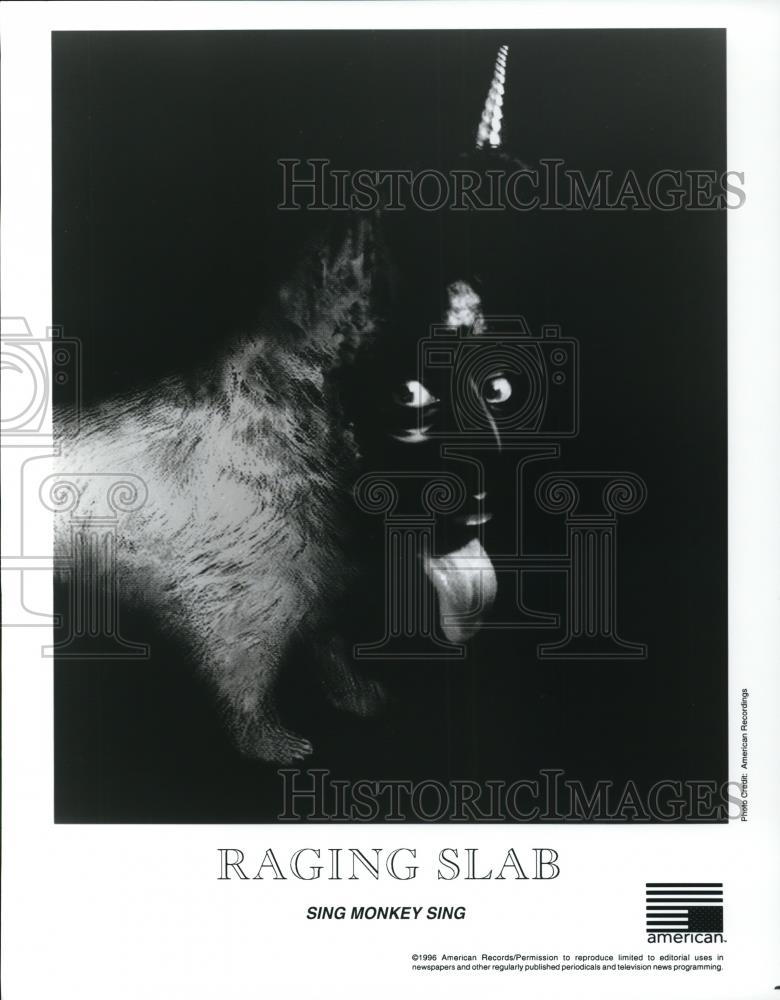 1996 Press Photo Raging Slab Sing Monkey Sing - cvp28307 - Historic Images