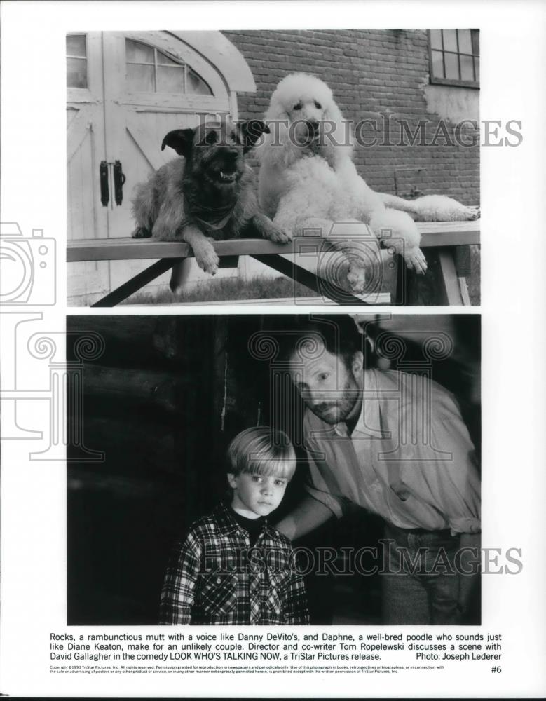 1994 Press Photo Tom Ropelewski and David Gallagher in &quot;Look Who&#39;s Talking Now&quot; - Historic Images