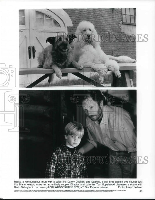 1994 Press Photo Tom Ropelewski and David Gallagher in "Look Who's Talking Now" - Historic Images