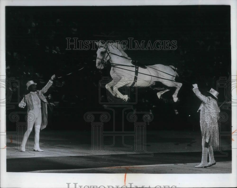 1970 Press Photo The Royal Lipizzan Stallion Show - Historic Images