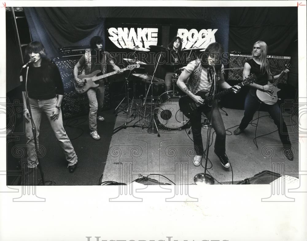 1981 Press Photo Snake Rock - cvp28140 - Historic Images