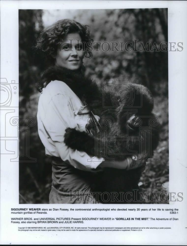 1991 Press Photo Movie Gorillas In The Mist Sigourney Weaver - cvp24261 - Historic Images