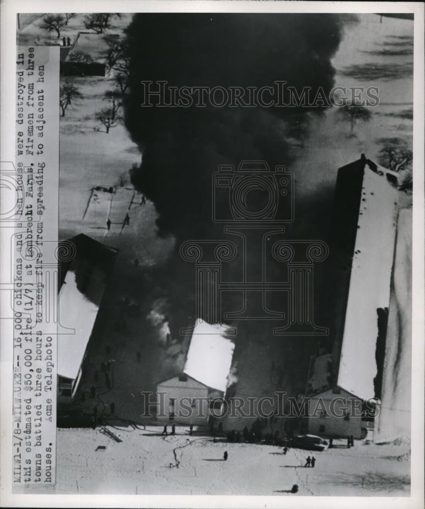 1951 Press Photo Chickens And A Hen House Destroyed By Fire At Labrecht Farms - Historic Images