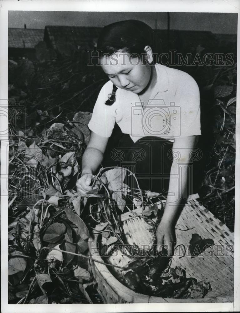 1946 Press Photo Toyko Japan Futara Catholic School as girl grows food - Historic Images