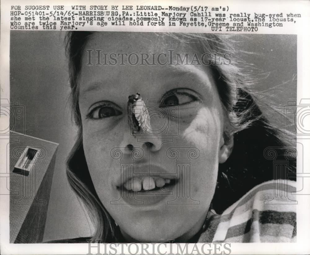 1965 Press Photo Harrisburg Pa Marjory Cahill with cicada on her nose - Historic Images