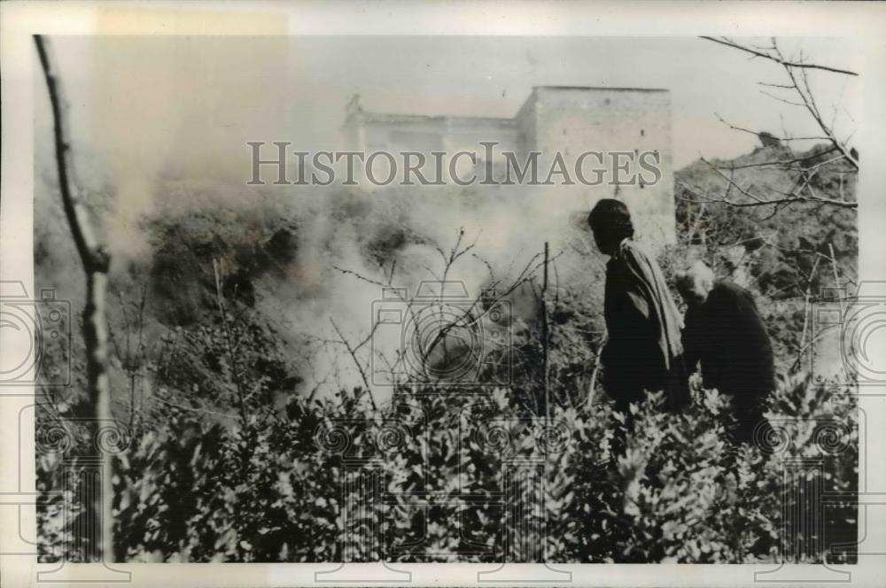 1944 Press Photo Lava burns down Garden - Historic Images