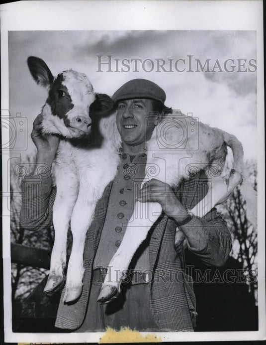 1960 Press Photo Kathy a three year old Calf gets piggy ride on Hug Watt - Historic Images