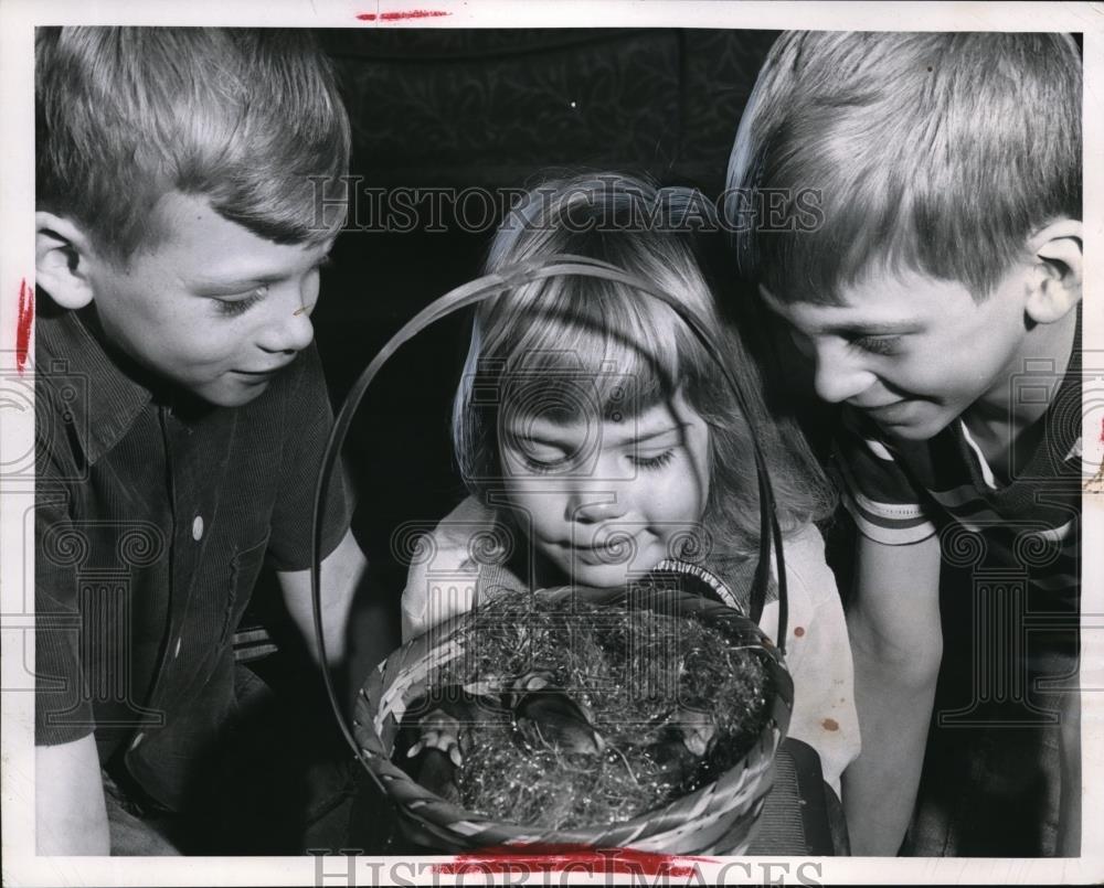 1958 Press Photo Kovacs Family with Their Newly Born Rabbits - Historic Images