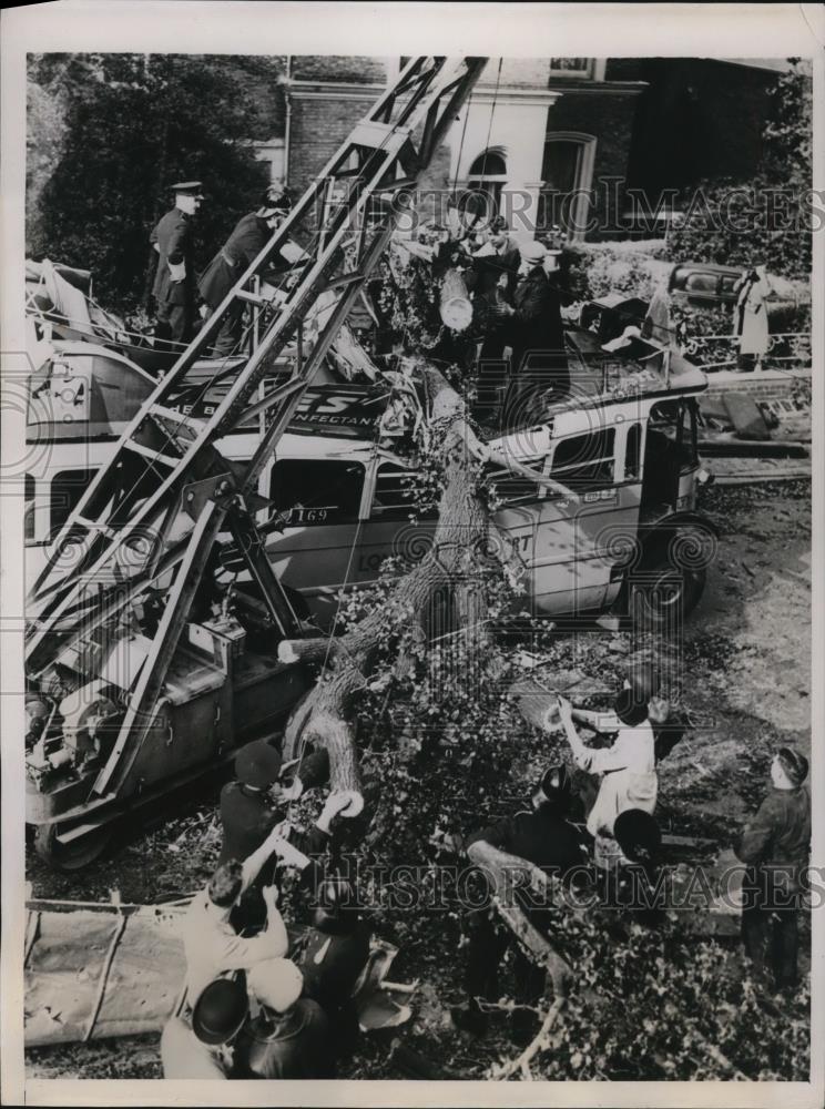 1938 Press Photo Tree Fallen on London Bus, Killing Three Passengers, England - Historic Images