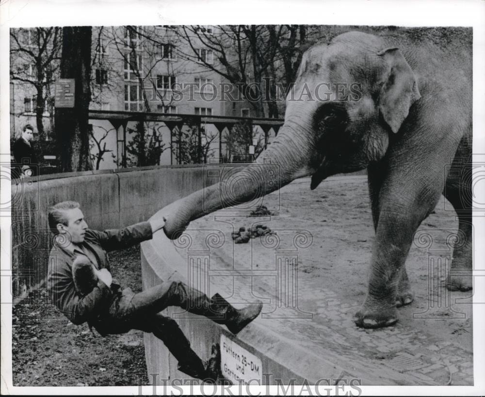 1968 Press Photo Zoo keeper Woflgang Bruzdziak gets a helping Trunk - Historic Images