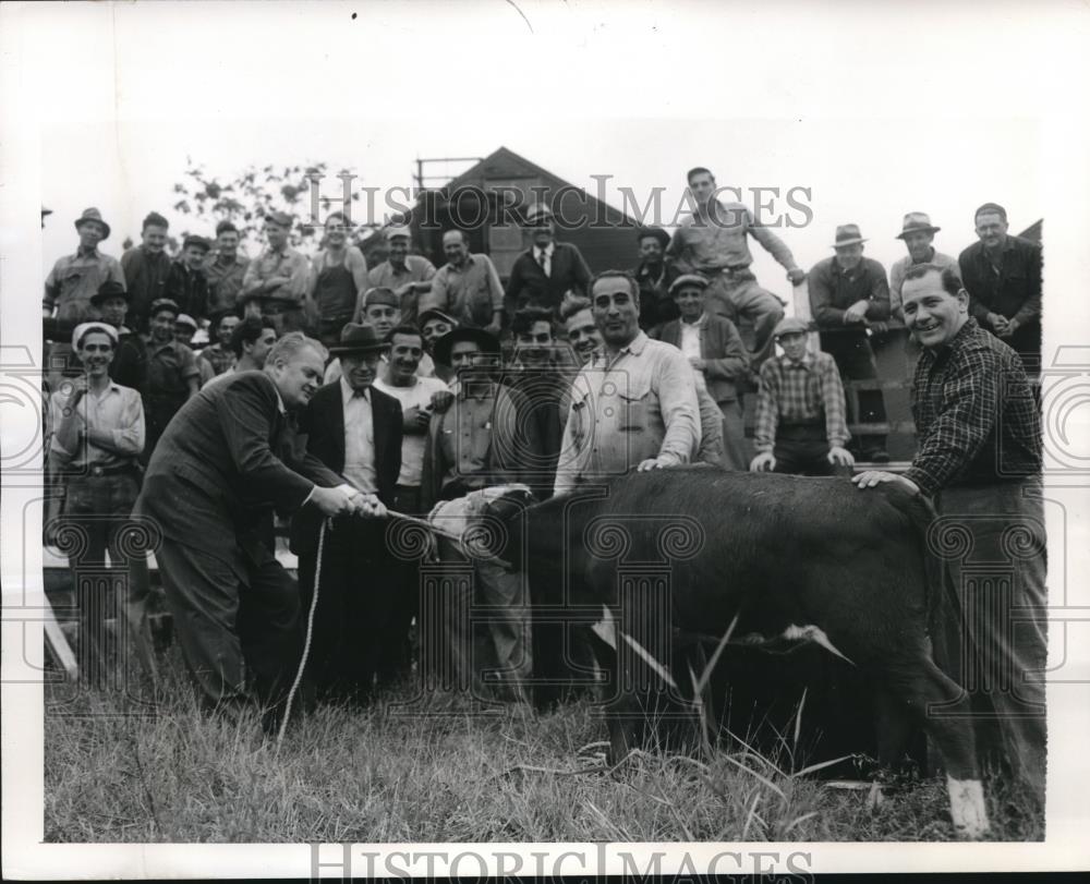 1946 Press Photo Flushing NY General Steel Products Co gets cows for meat - Historic Images