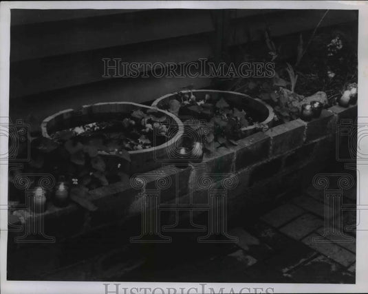 1958 Press Photo Flowers for Outdoors and Candles - Historic Images