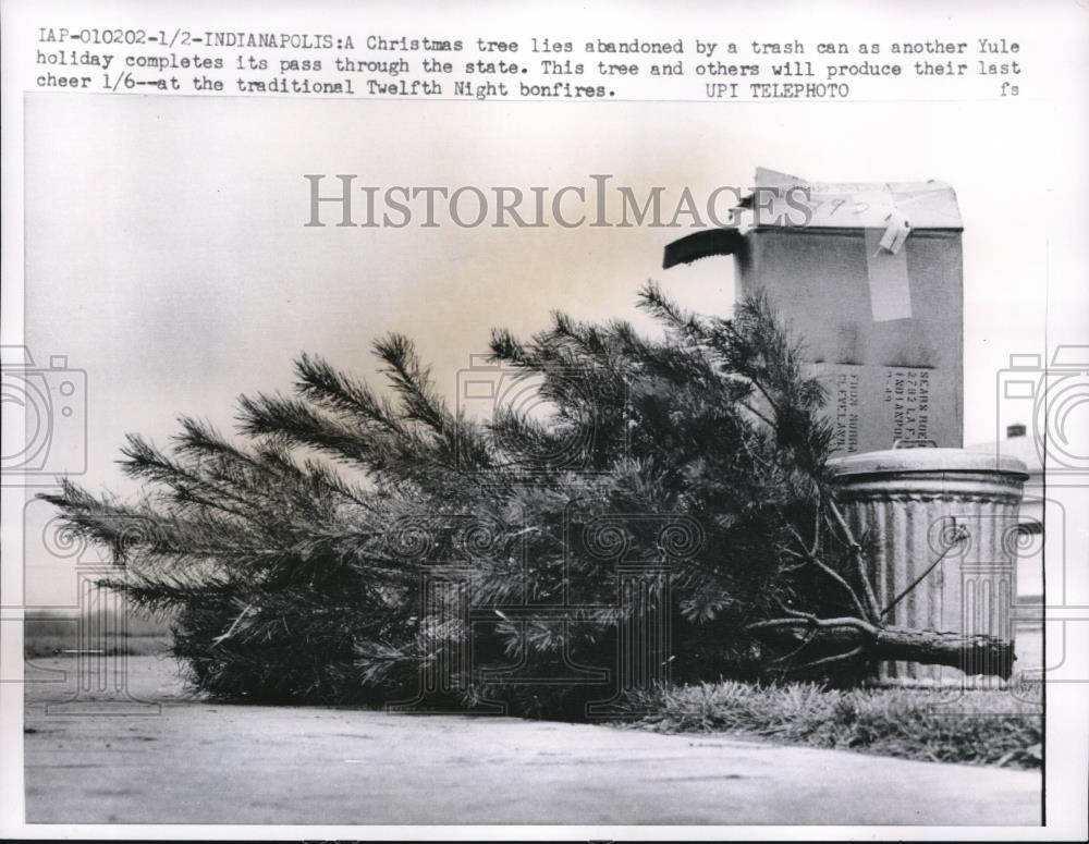 1959 Press Photo Christmas Tree for bonfire - Historic Images