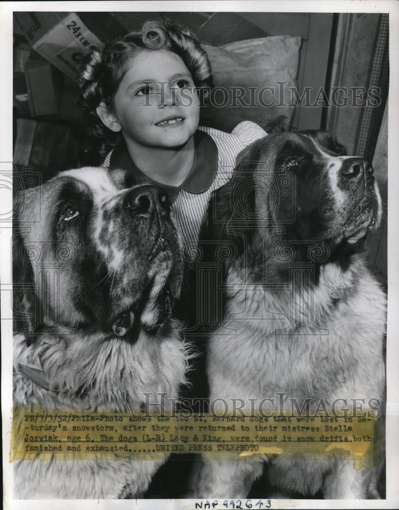 1952 Press Photo Stella Jozwiak age 6 with her 2 St. Bernards Philedelphia, PA - Historic Images