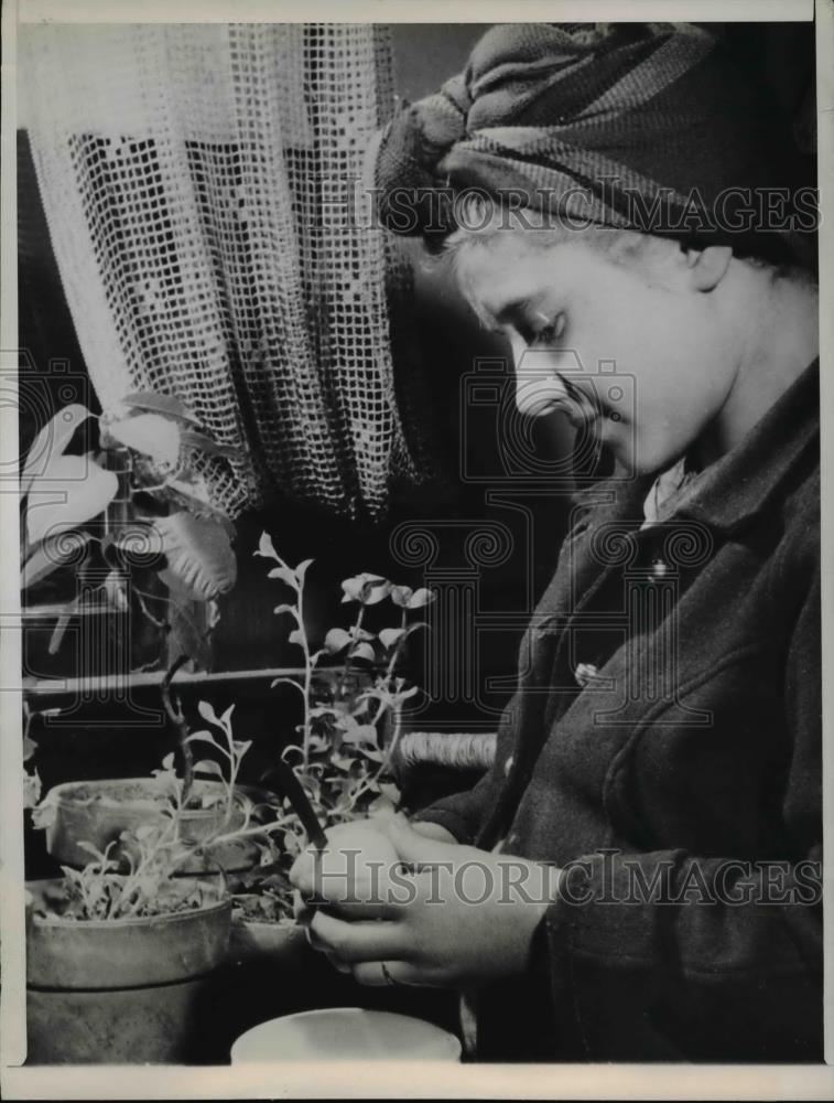 1947 Press Photo Mrs. Chester Owens, expectant mother, wife of gang-member - Historic Images