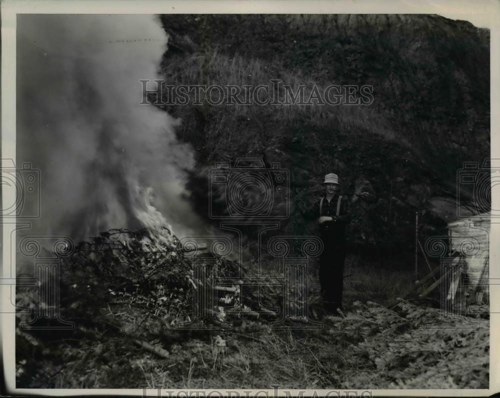 1944 Press Photo Paul Colby burning surplus Christmas tree stocks - Historic Images