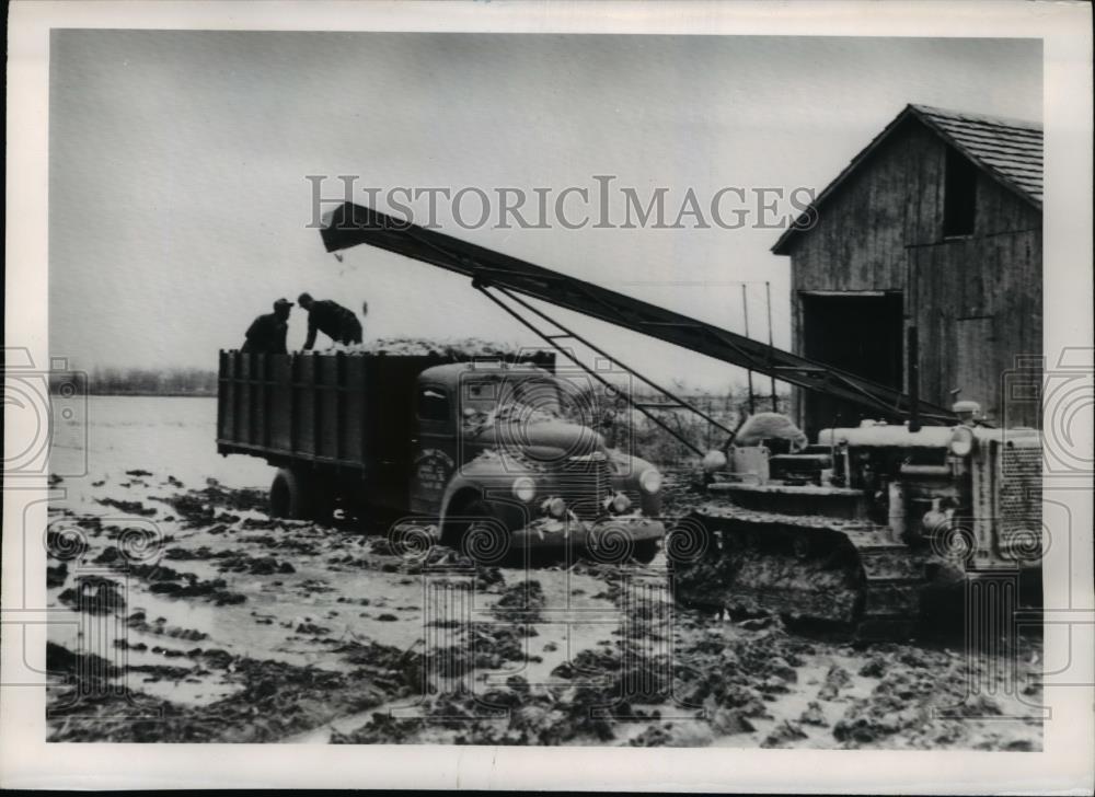 1950 Press Photo Flood in Missouri, farmers moving corn - Historic Images