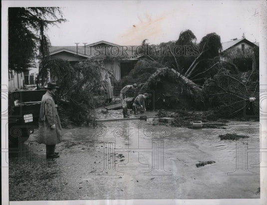 1936 Press Photo Uprooted Trees aftet the storm hits at Alhambra Calif. - Historic Images