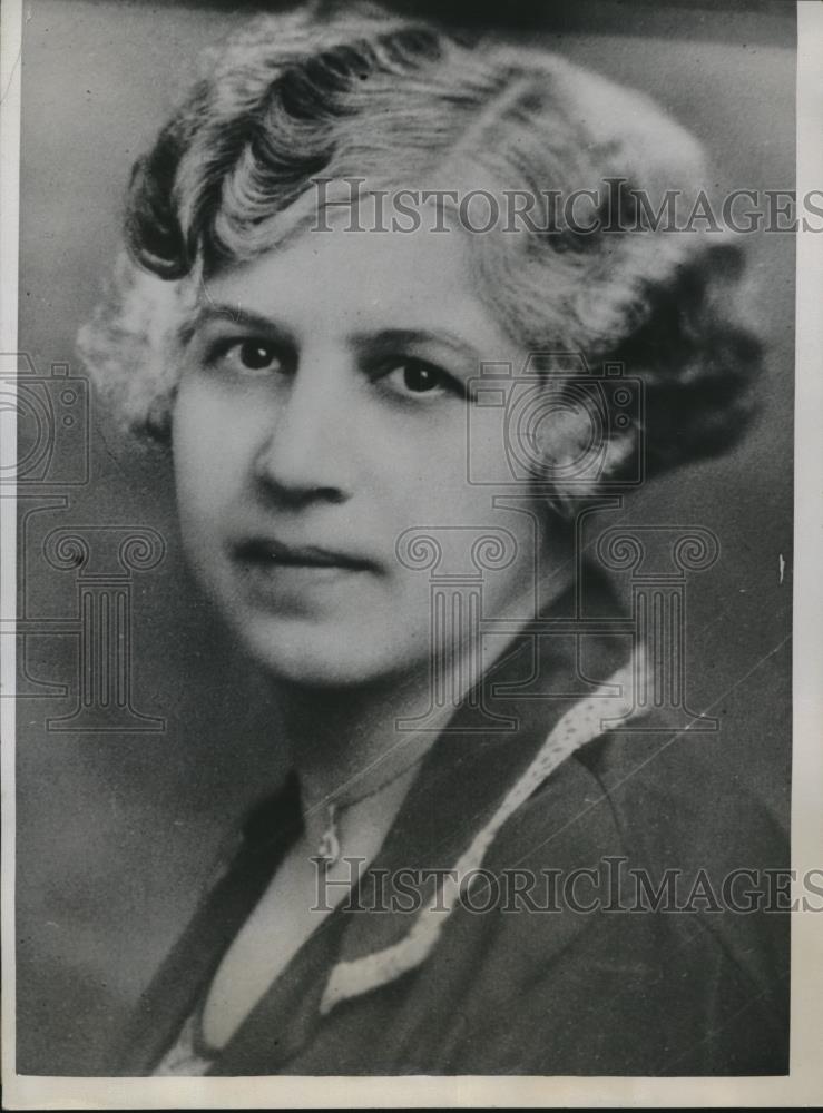 1934 Press Photo Mrs. Katherine Schreiner, 52, of Detroit - Historic Images