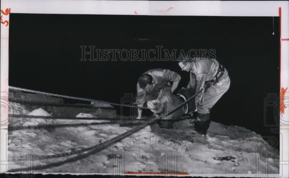 1929 Press Photo Niagara Falls NY rescue of man swept over the falls - Historic Images