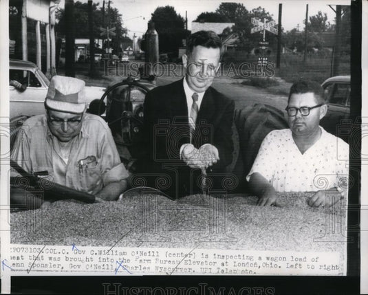 1958 Press Photo C William O'Neill Wagon Load Of Wheat London Ohio Charles - Historic Images