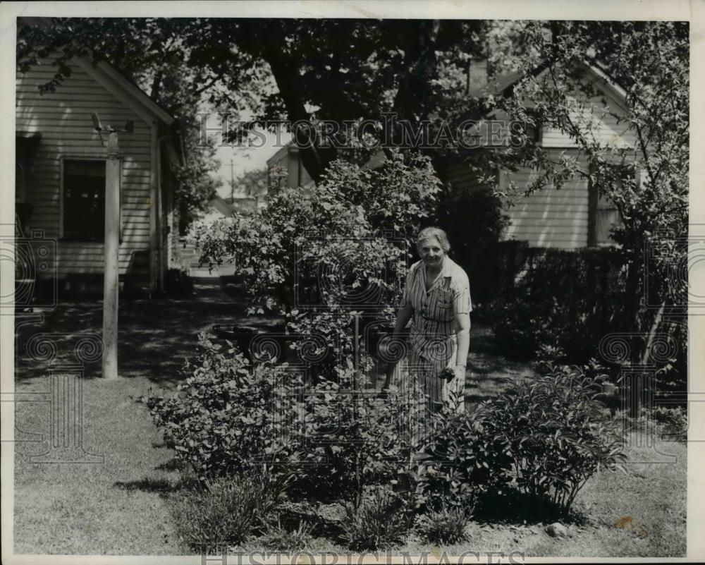 1953 Press Photo Mrs August Komm winner in Clean Yard Contest. - Historic Images