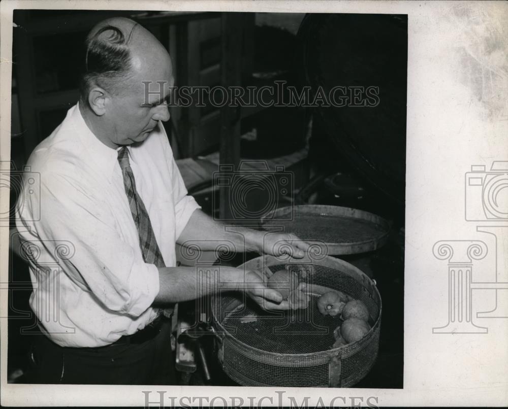 1944 Press Photo Dr. Brown showing his process of peeling the tomatoes - Historic Images