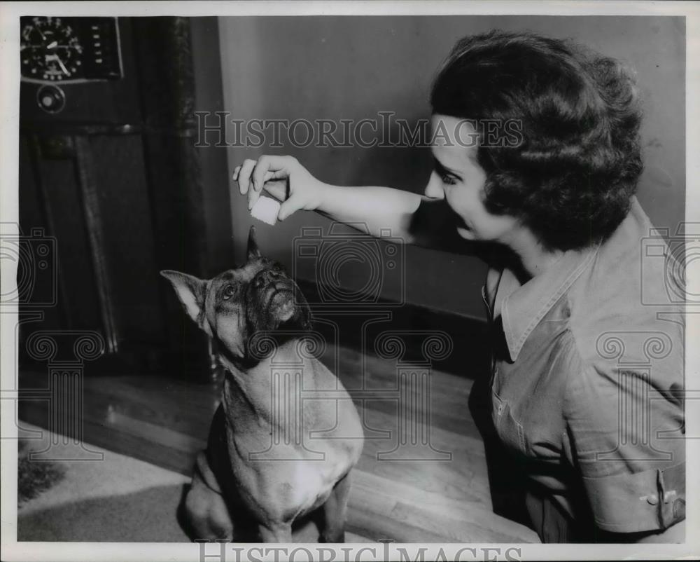 1954 Press Photo Duke looking at a dog treat - Historic Images