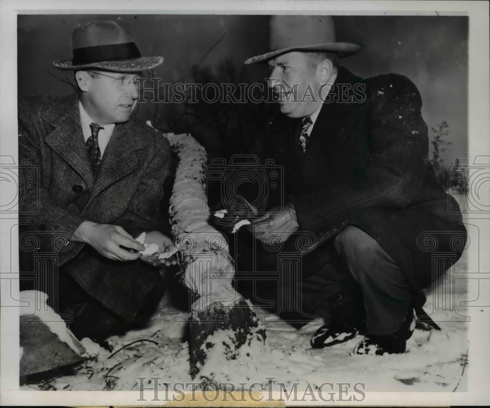 1945 Press Photo of Dr. W.J. Breckenridge (left) and Charles E.Doell inspect a - Historic Images