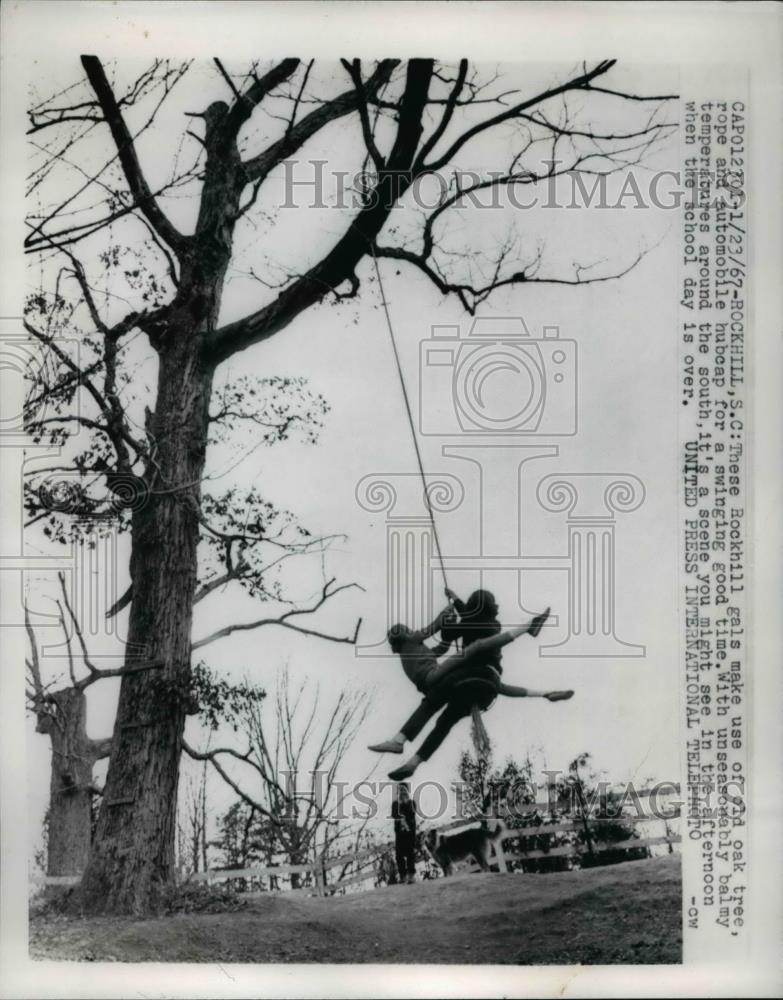 1967 Press Photo Rockhill gals use old oak tree, rope & hubcap for swing - Historic Images