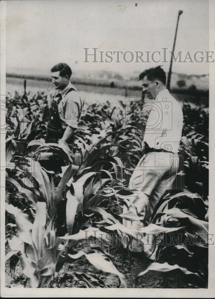 1933 Press Photo Henry A. Mallace & R.F. Baker inspecting corn crown - Historic Images