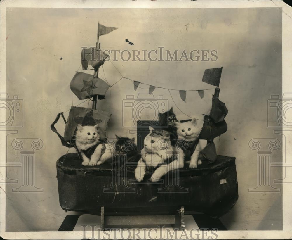 1927 Press Photo A bunch of cats in a decorated boat display - Historic Images