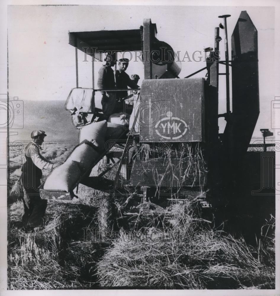 1950 Press Photo Greece Rice Farm - Historic Images