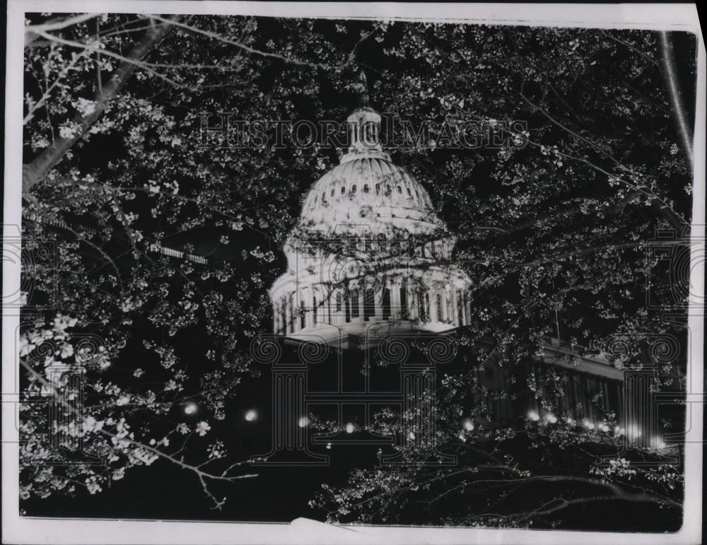 1937 Press Photo Wash DC Capitol dome seen thru cherry tree blossoms - Historic Images