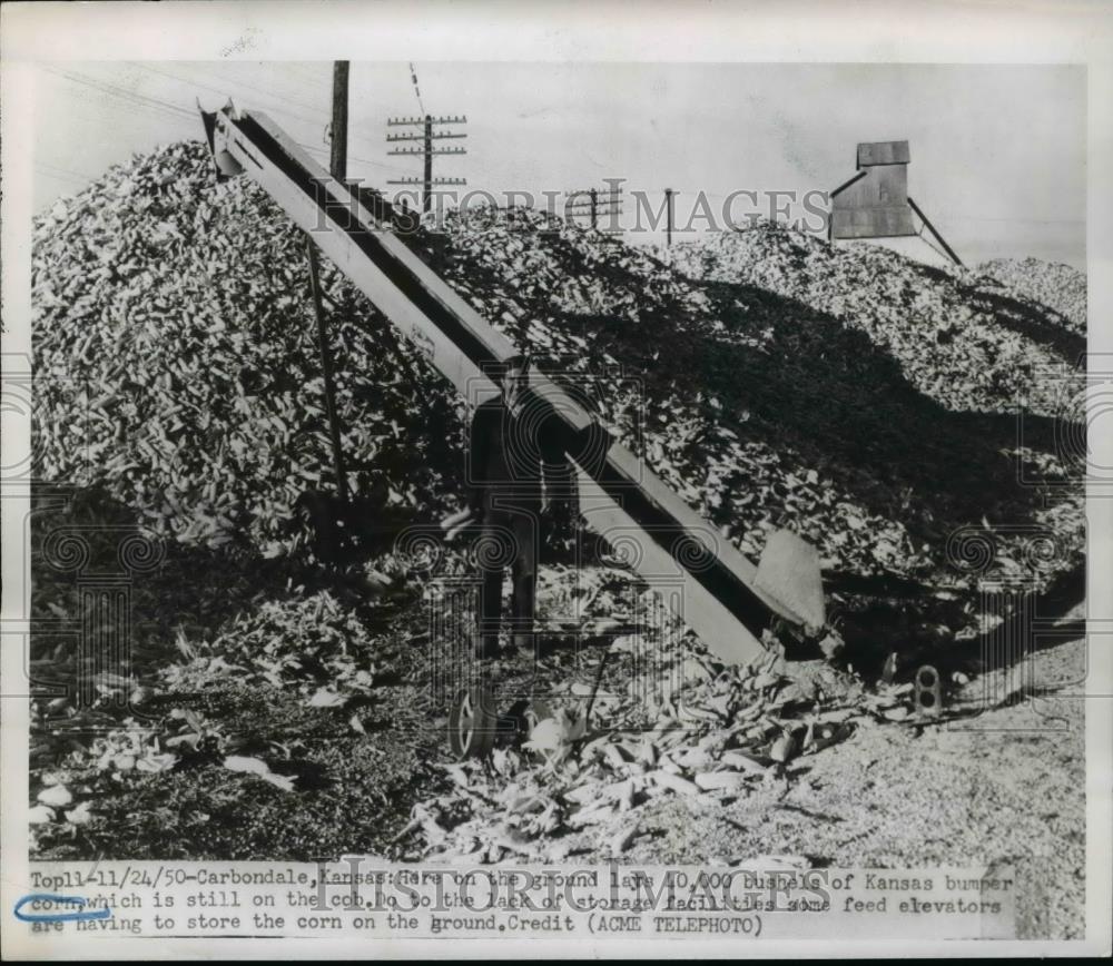 1950 Press Photo Carbondale Kans 40,000 bushels of corn lay on the ground due - Historic Images