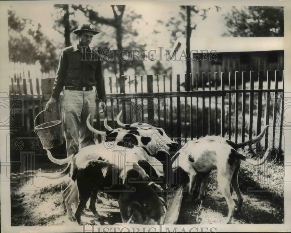 1938 Press Photo Vallee Fredere seen feeding his pack a good meal - Historic Images