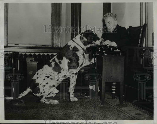 1934 Press Photo Henry J Campbell seen with Norbet, A Harlequin Great Dane - Historic Images