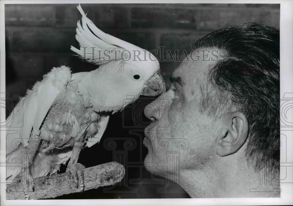 1969 Press Photo Kevin Don Ehlinger with a Sulfhur Crested Cockatoo - Historic Images