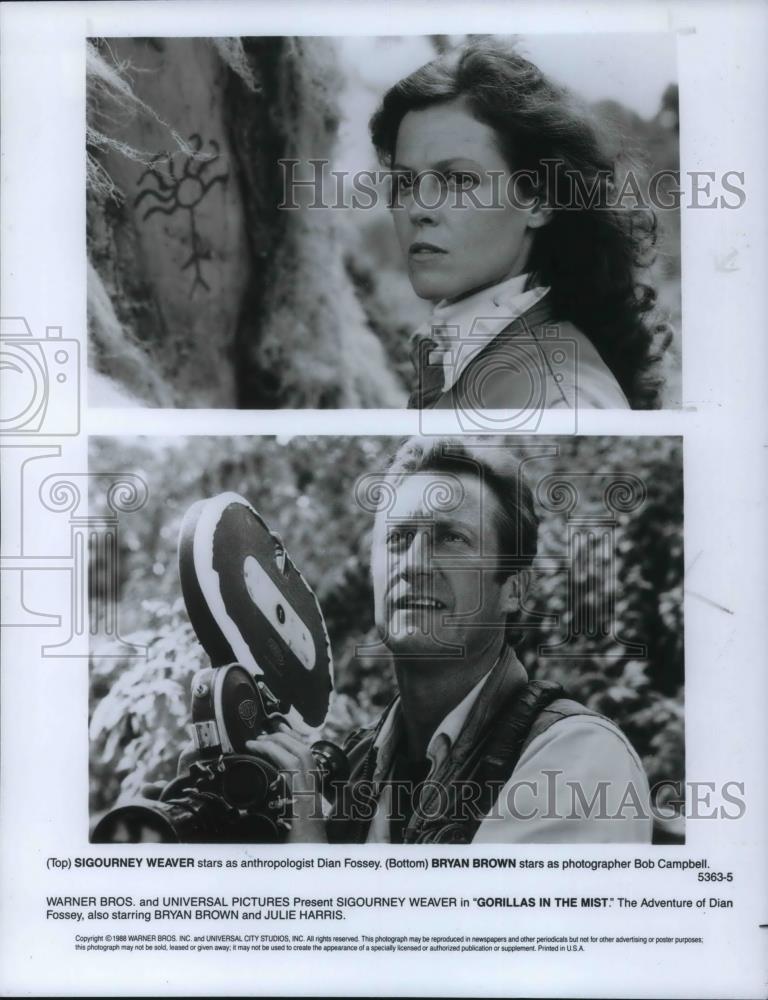 1988 Press Photo Warner Brothers Gorillas In The Mist starring Sigourney Weaver - Historic Images
