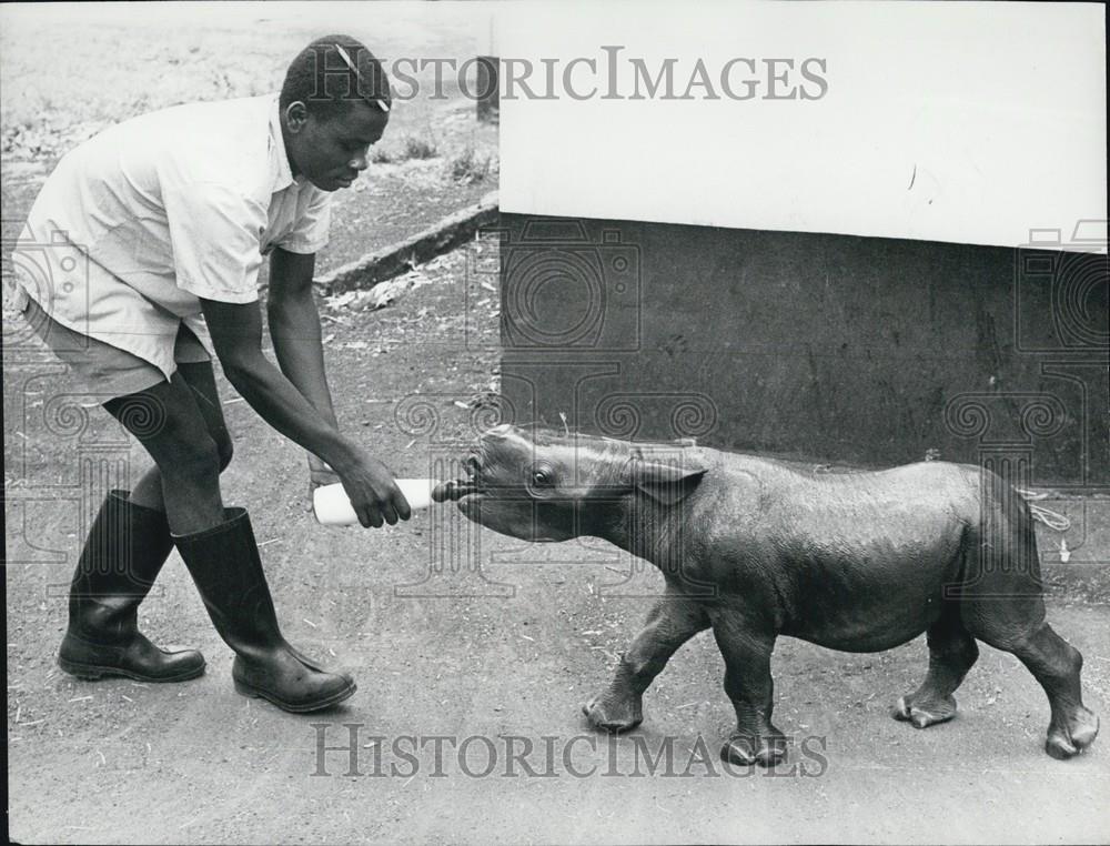 Press Photo dinner-time for Kioko - Historic Images