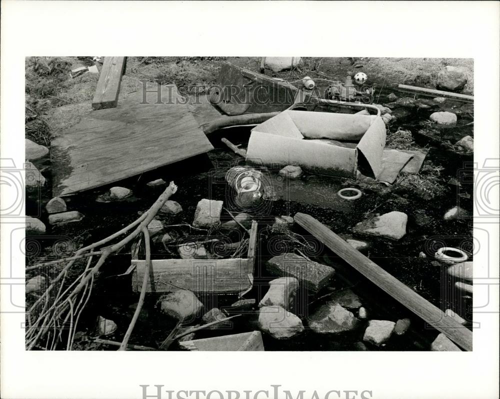 1971 Press Photo Fair Lawn New Jersey Pond - Historic Images