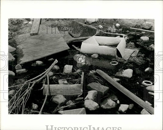 1971 Press Photo Fair Lawn New Jersey Pond - Historic Images