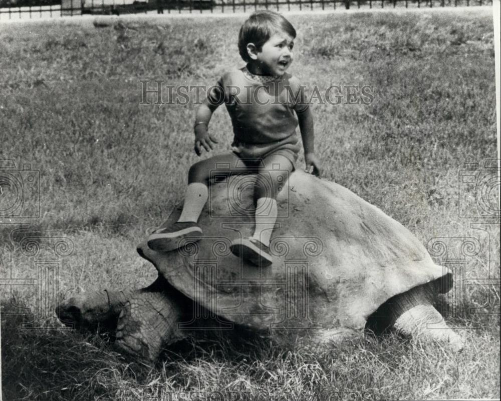 1975 Press Photo An 150-year-old Elepentine Turtoise at Calcutta Zoo - Historic Images